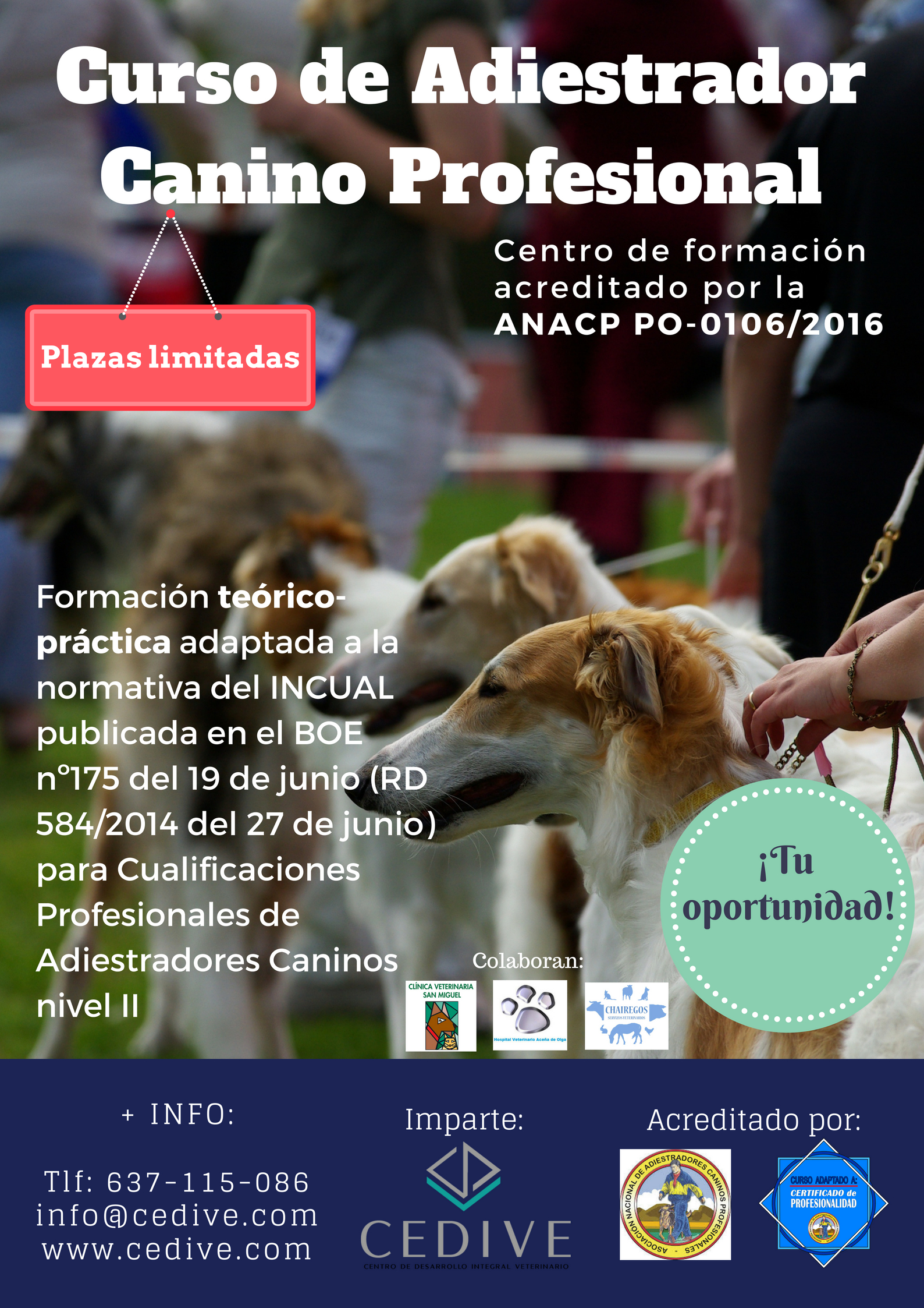 Adiestrador canino profesional lugo