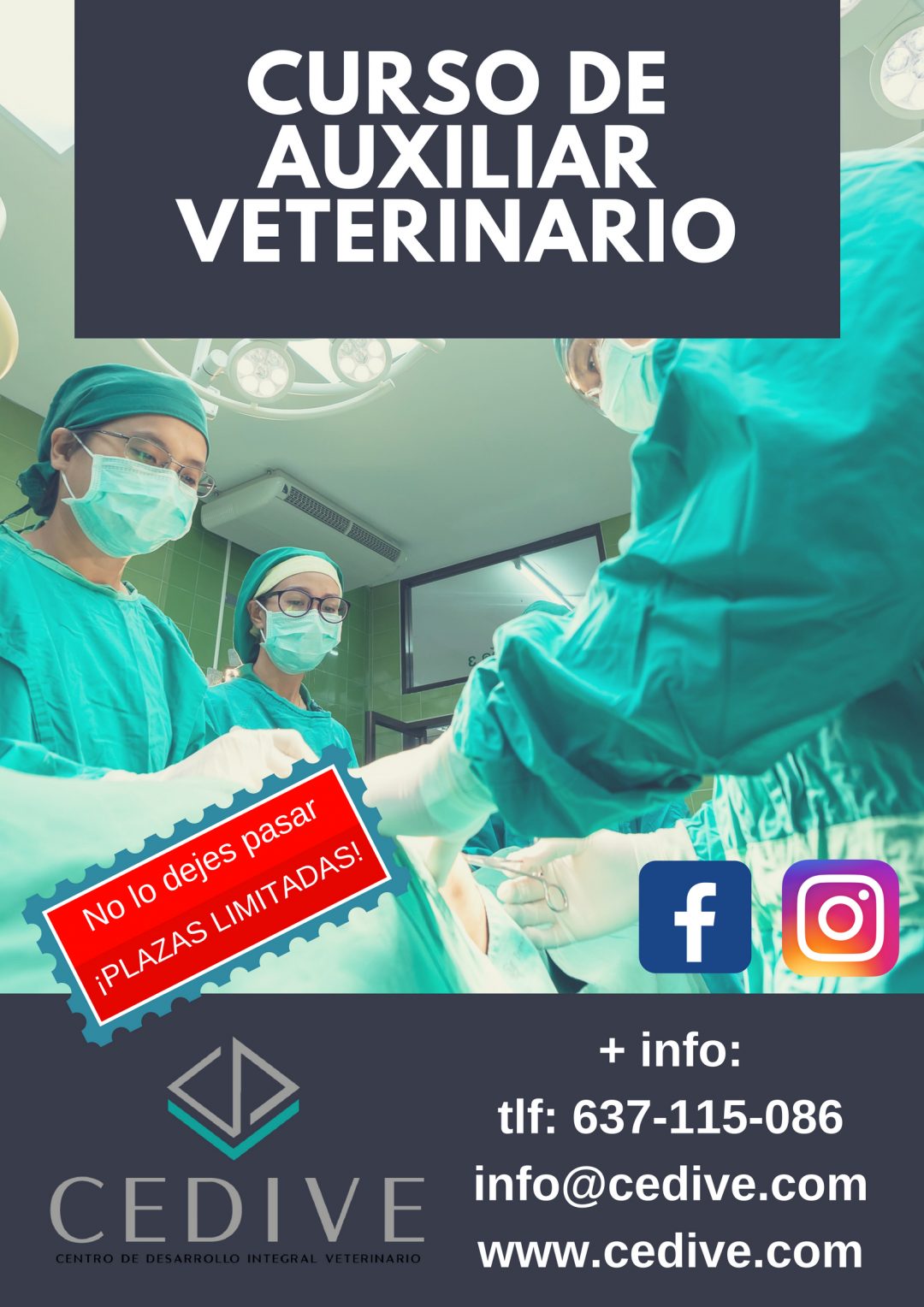 Curso Auxiliar Técnico Veterinario - CEDIVE
