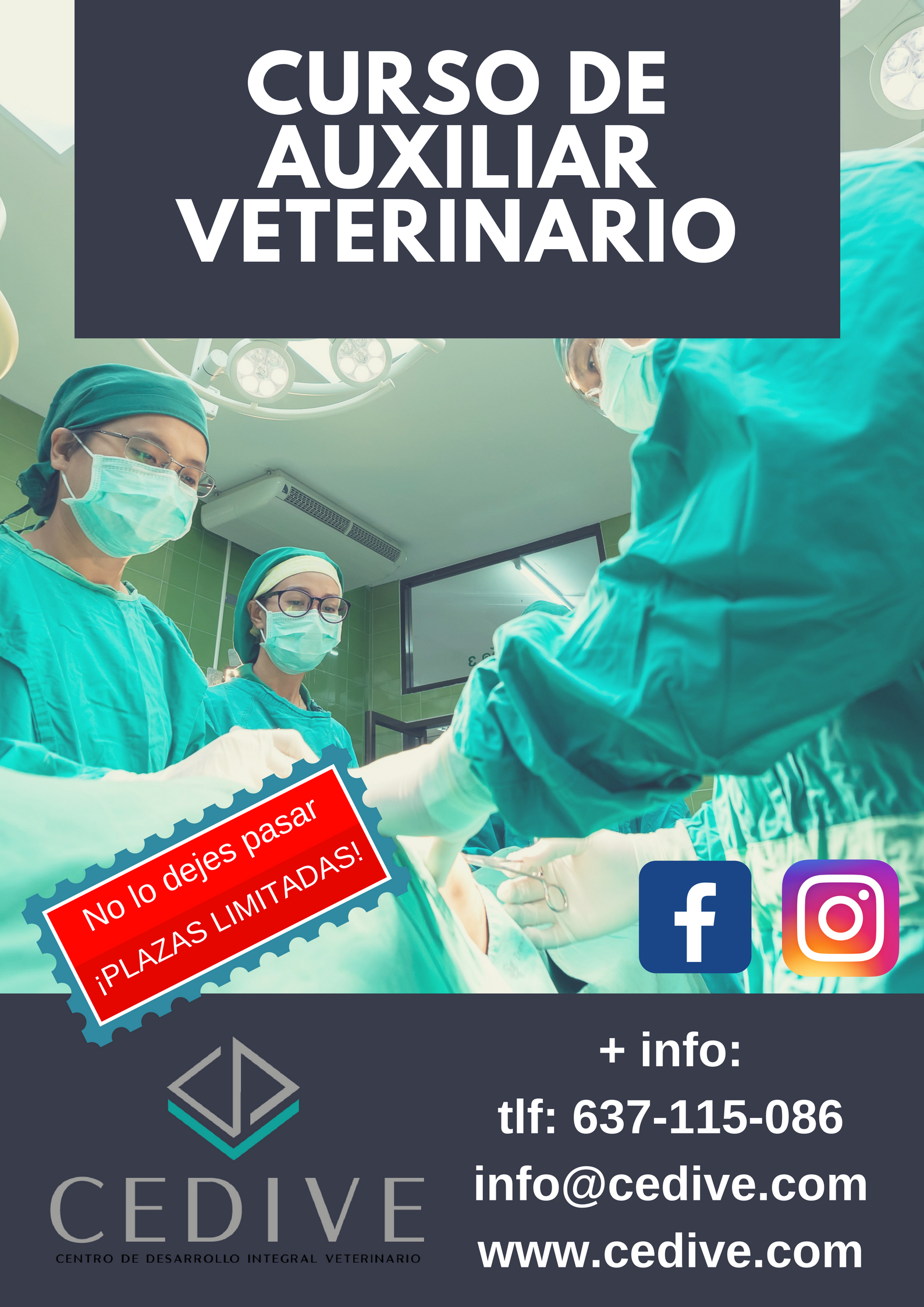 Curso Adiestramiento Canino Adiestrador canino profesional lugo