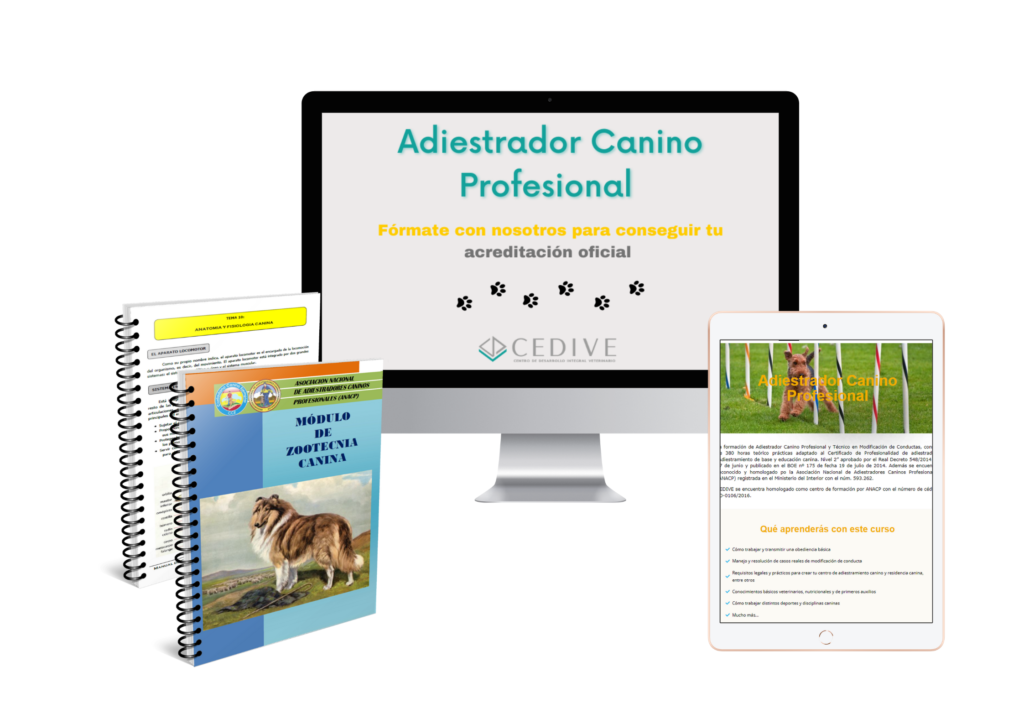 Adiestrador canino, adiestramiento canino, modificación de conducta, educación canina